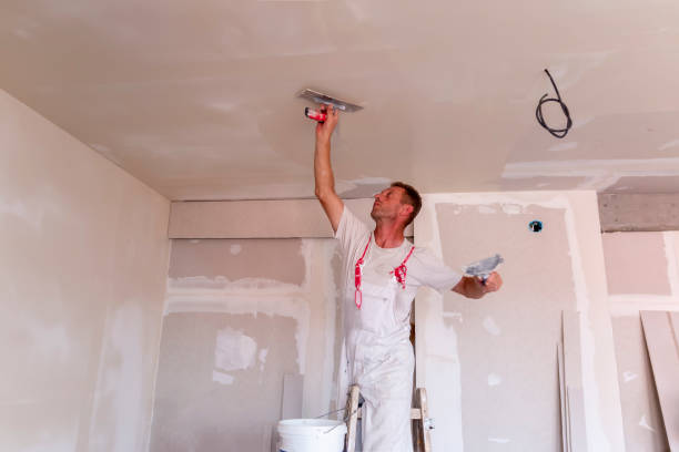 Best Fire-Damaged Drywall Repair  in Karns, TN